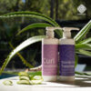 Curl Treatment - Image 3
