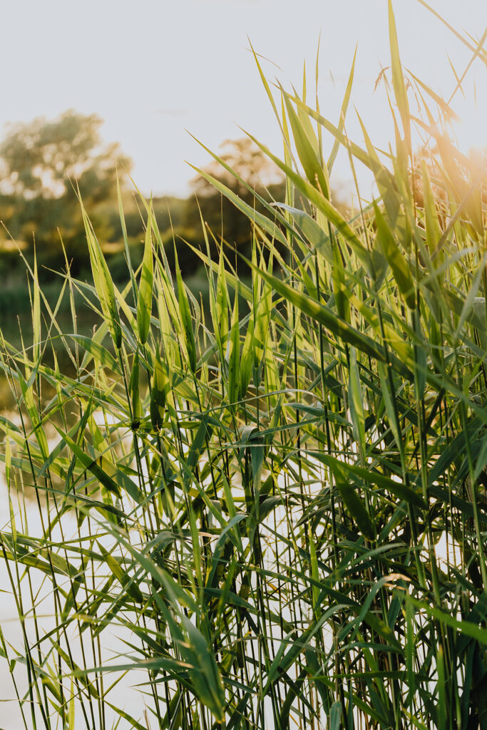 Would you believe it if you heard that aerosol hair products can actually be good for you and the environment?